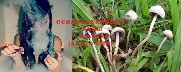трава Абинск