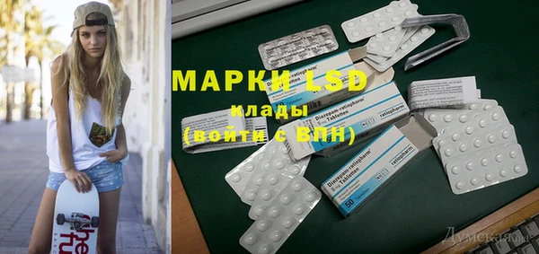ПСИЛОЦИБИНОВЫЕ ГРИБЫ Алзамай